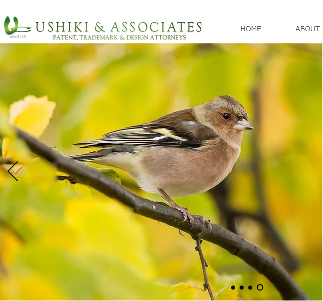 USHIKI & ASSOCIATES